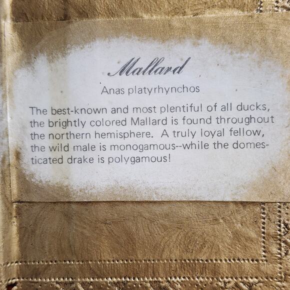 VTG Mallard Duck 3D Open Book Wall Art Gold Finish by Ellen Watkins 12x10 - Picture 8 of 13